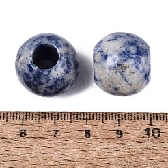 Natural Blue Spot Jasper Beads&nbsp;G-Q608-05H