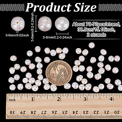 2 Strands Natural Cultured Freshwater Pearl Beads Strands&nbsp;PEAR-NB0002-55