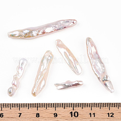 Natural Baroque Pearl Keshi Pearl Beads&nbsp;PEAR-S020-E03-1