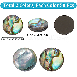 100Pcs 2 Styles Natural Abalone Shell/Paua Shell Cabochons&nbsp;SHEL-SC0001-42