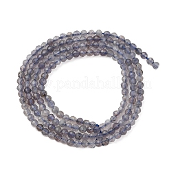 Natural Iolite Beads Strands&nbsp;G-D320-A01-2mm