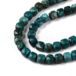 Natural Chrysocolla Beads Strands&nbsp;G-N342-117