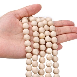 Natural Fossil Beads Strands&nbsp;G-E110-10mm-2