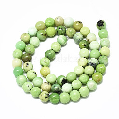 Natural Serpentine Beads Strands&nbsp;G-R485-11-6mm