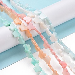 Natural Freshwater Shell Beads Strands&nbsp;SHEL-H002-02