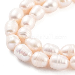 天然養殖淡水パールビーズ連売り  グレードAB +  ライス  桃パフ  7~8mm  穴：0.6mm  約19個/連  6.69''（17センチメートル）&nbsp;PEAR-P062-15B
