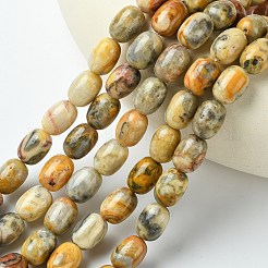 Barrel Shaped Gemstone Natural Crazy Lace Agate Beads Strands&nbsp;G-S114-08