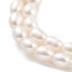 Natural Cultured Freshwater Pearl Beads Strands&nbsp;PEAR-P062-03B