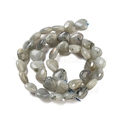 Natural Labradorite Beads Strands&nbsp;G-B022-32C