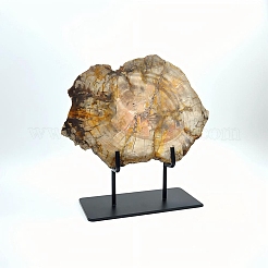 黒い鉄のスタンドに置かれた天然の化珪化木のスライス  素朴な家の装飾  270x240x100mm&nbsp;AJEW-H157-02
