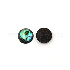 パウアシェルカボション  半円  10x2mm&nbsp;SHEL-WH0001-002B