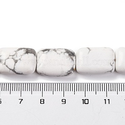 Natural Howlite Beads Strands&nbsp;G-T047-B28-20