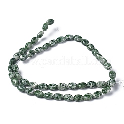 Natural Green Spot Jasper Beads Strands&nbsp;G-Z006-A22