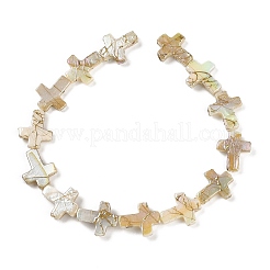 ドローベンチ スタイルの天然淡水シェル ビーズ 連売り  ABカラー  クロス  淡い茶色  14.5x12x3mm  穴：0.5mm  約12個/連  7.48インチ（19cm）&nbsp;X1-BSHE-G036-01