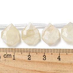 Natural Rainbow Moonstone Beads Strands&nbsp;G-P544-C04-01