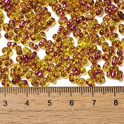 Spray Painted Glass Seed Beads&nbsp;SEED-F005-04A-02