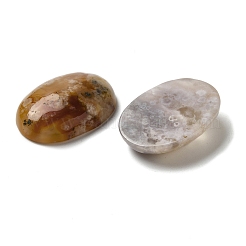 Natural Cherry Blossom Agate Cabochons&nbsp;G-N343-05