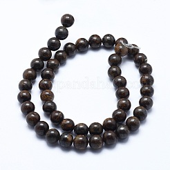 Natural Bronzite Bead Strands&nbsp;X-G-P370-05-8mm