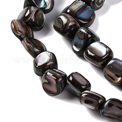 Natural Freshwater Shell Beads Strands&nbsp;BSHE-S304-06