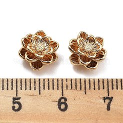 Brass Charms&nbsp;KK-L222-002G