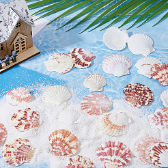 500G Natural Shell Ornaments&nbsp;DJEW-FH0001-35A