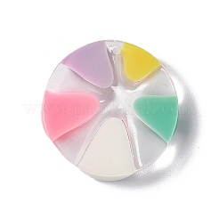 Transparent Resin Pendants&nbsp;RESI-E029-03B