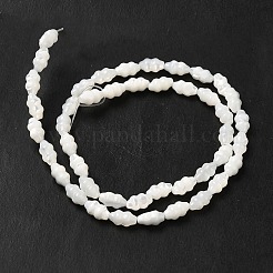 Natural Trochus Shell Beads Strands&nbsp;SHEL-M021-01