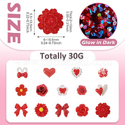 30gの蓄光不透明樹脂カボション  混合図形  レッド  6~18.5x5.5~18.5x2~10mm&nbsp;CRES-TA0001-55C