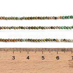 Natural HuBei Turquoise Beads Strands&nbsp;GG-CBA4399-A01-01