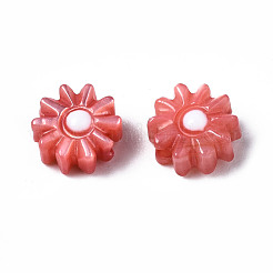 Natural Freshwater Shell Beads&nbsp;SHEL-N003-20A
