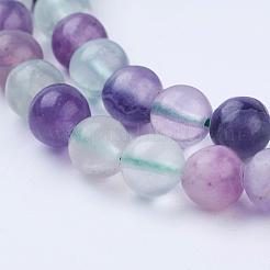 Natural Fluorite Beads Strands&nbsp;G-P318-05-6mm
