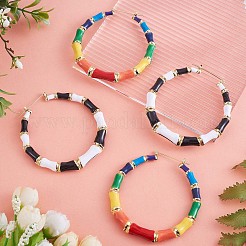 Enamel Bamboo Big Hoop Earrings&nbsp;JE976A