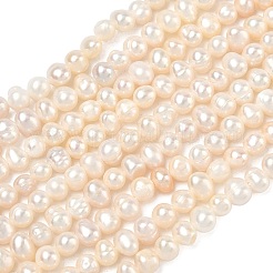 Natural Cultured Freshwater Pearl Beads Strands&nbsp;PEAR-L034-05