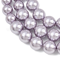 Electroplated Shell Pearl Graduated Beads Strands&nbsp;BSHE-C011-04-03