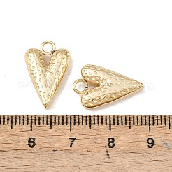304 Stainless Steel Pendants&nbsp;STAS-A129-10G