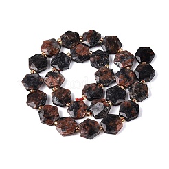 Natural Labradorite Beads Strands&nbsp;G-N368-01A-20