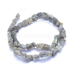 未加工天然ラブラドライトビーズ連売り  ナゲット  6~12x6~10x5~8mm  穴：0.7mm  約48個/連  15.75インチ（40cm）&nbsp;G-I279-B07