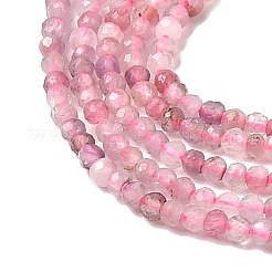 Natural Plum Blossom Tourmaline Beads Strands&nbsp;X-G-C266-A01-2mm