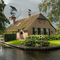 カラス鉄風向インジケーター  屋外の庭の風の測定ツールのための風見鶏  電気泳動黒  285x345x18mm&nbsp;AJEW-WH0034-65