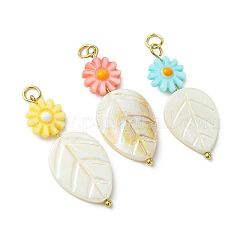 Natural Freshwater Shell Carved Pendants&nbsp;PALLOY-JF05382