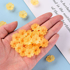 Transparent Frosted Acrylic Bead Caps&nbsp;MACR-S371-04A-724