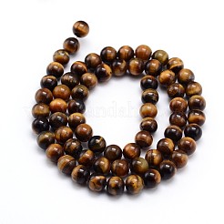 Natural Tiger Eye Beads Strands&nbsp;G-J303-11-10mm