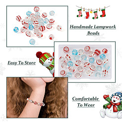 30Pcs 6 Style Handmade Bumpy Lampwork Beads&nbsp;LAMP-CD0001-19