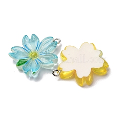 Transparent Resin Pendants&nbsp;RESI-A046-05H