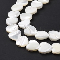 Natural Trochus Shell Beads Strands&nbsp;SSHEL-H070-06C