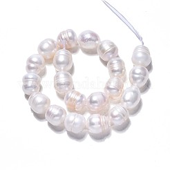 天然養殖淡水パールビーズ連売り  ライス  貝殻色  8.5~10.5x7.5~8.5mm  穴：0.8mm  約16~17個/連  6.69インチ〜6.89インチ（17cm〜17.5cm）&nbsp;X1-PEAR-N012-07C