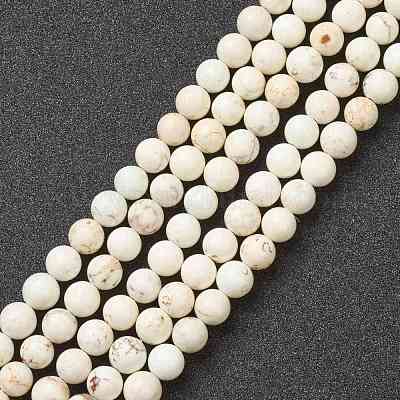 Nrtutal Magnesite Beads Strands&nbsp;G-L575-01C-1