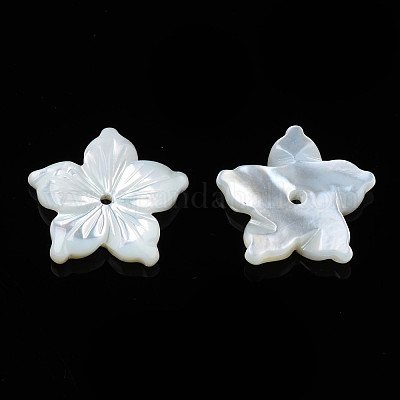 Natural White Shell Beads&nbsp;SSHEL-N027-131A-01-1