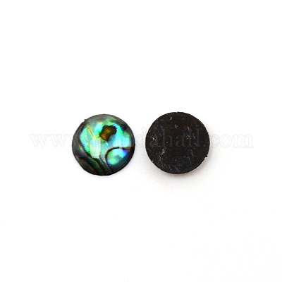 パウアシェルカボション  半円  10x2mm&nbsp;SHEL-WH0001-002B-1