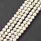 Nrtutal Magnesite Beads Strands&nbsp;G-L575-01C-1